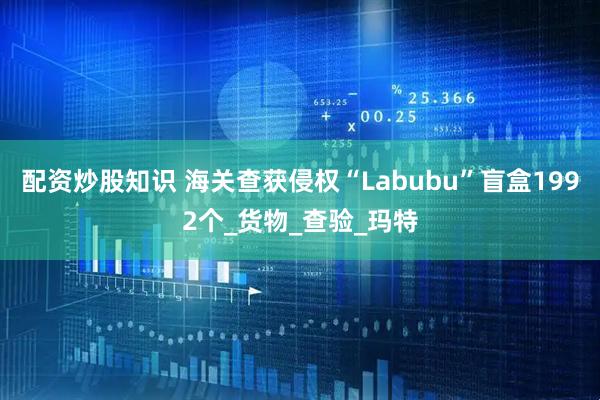 配资炒股知识 海关查获侵权“Labubu”盲盒1992个_货物_查验_玛特